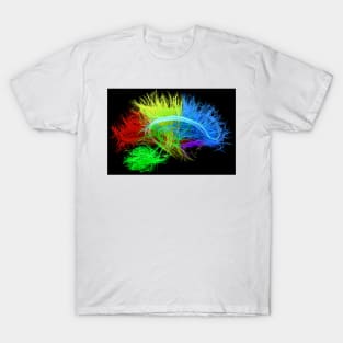 Human brain nerve tracts, illustration, (F035/7627) T-Shirt